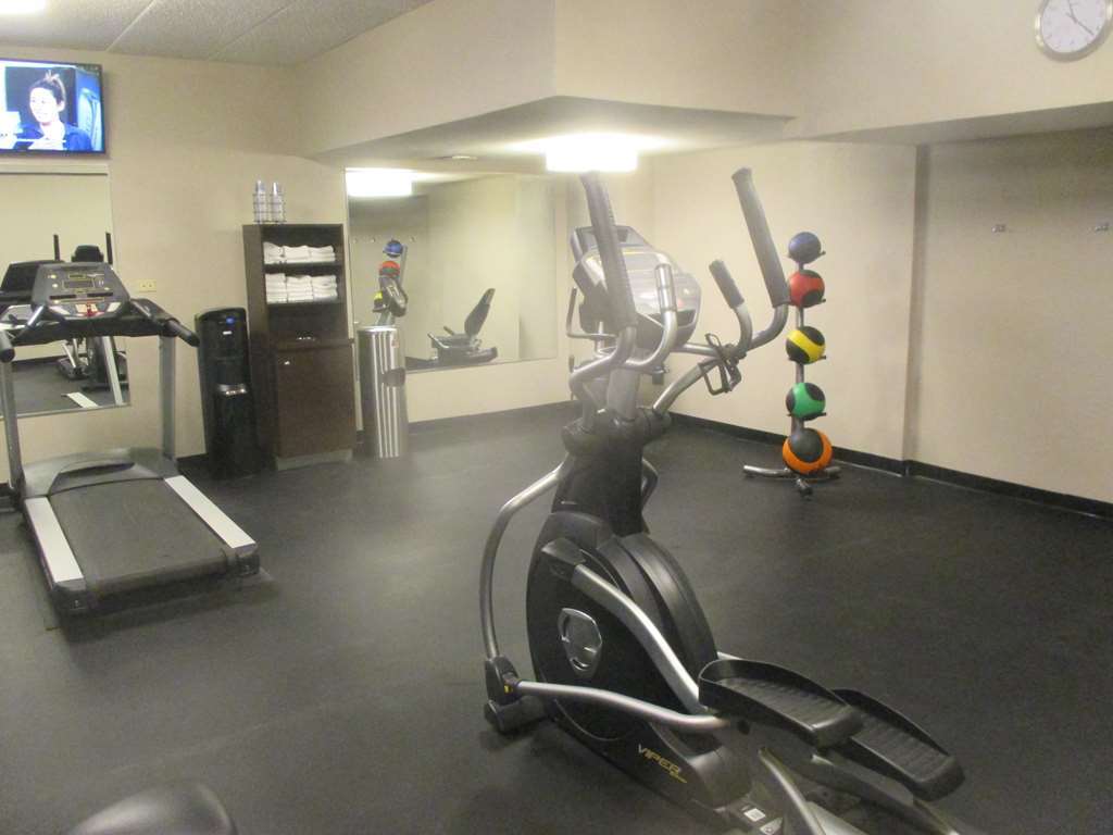 Best Western O'Hare/Elk Grove Hotel Элк-Гров-Виллидж Удобства фото